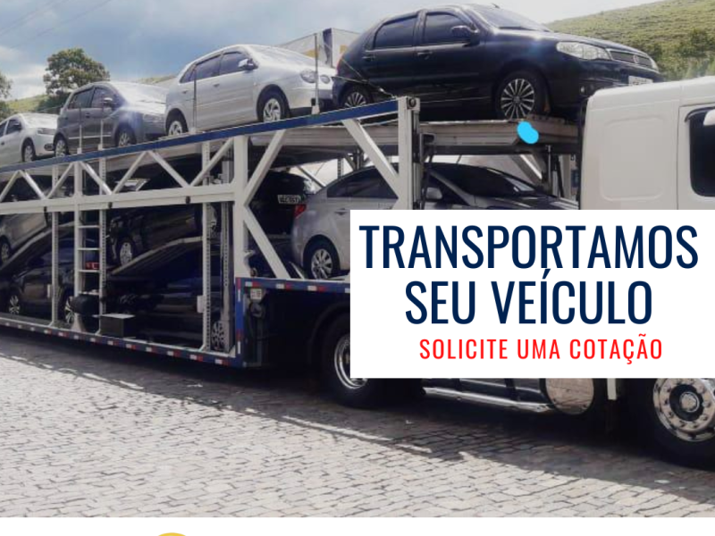 Transporte seu carro com segurança e confiança de Belém a Manaus com a Transguia Logística!