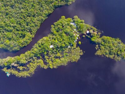 Remodelagem do site do Instituto Águia Branca