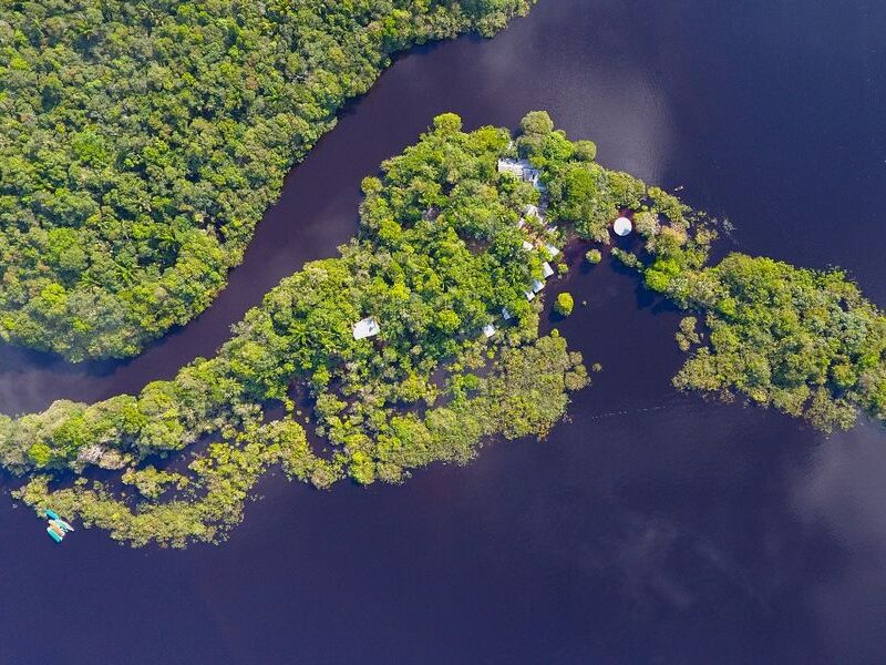 Remodelagem do site do Instituto Águia Branca